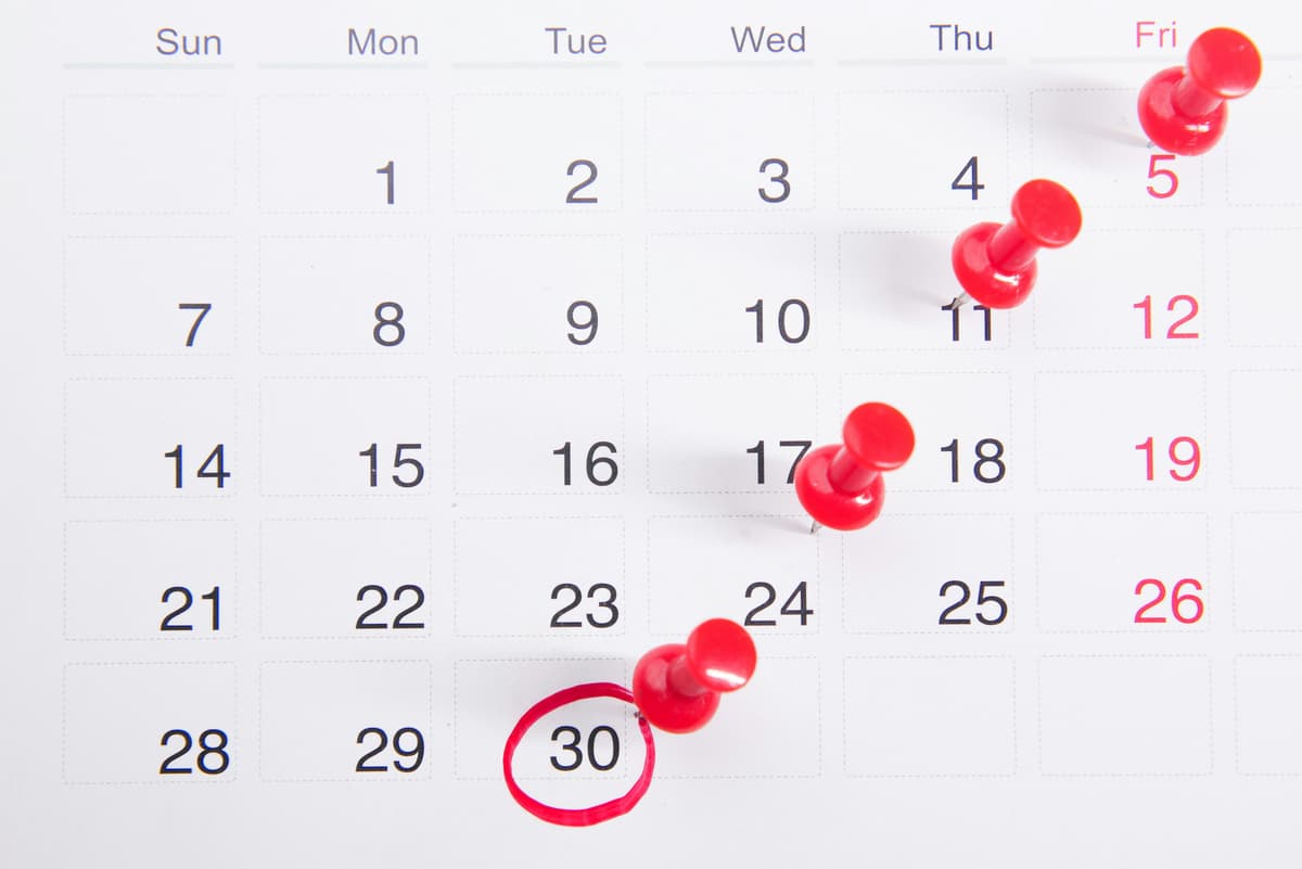 The Vinted seller's calendar: what to sell and when